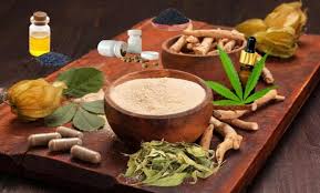 Ayurvedic Medicine